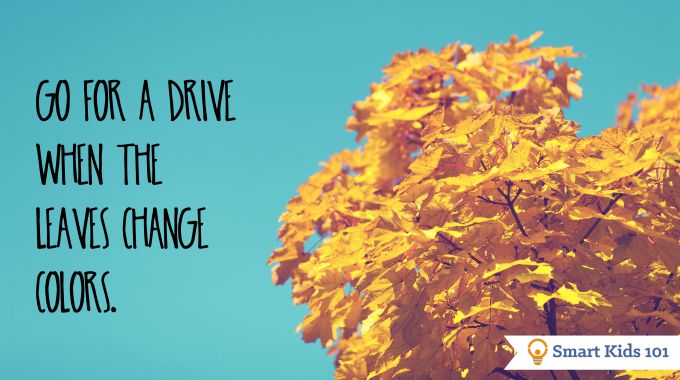 Go for a drive when the leaves change colors and other fun fall activities!