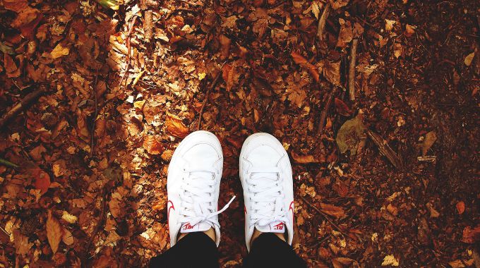 Take a walk in the fall leaves and other fall activities at the link.