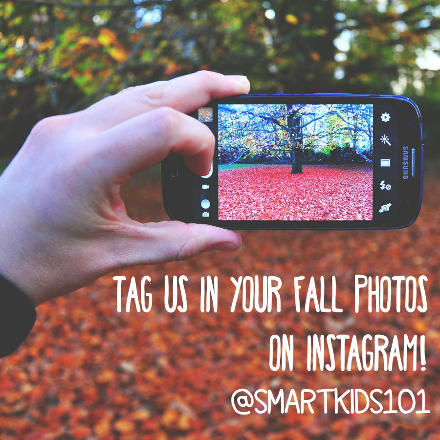 Take a fall photo and send it to us!